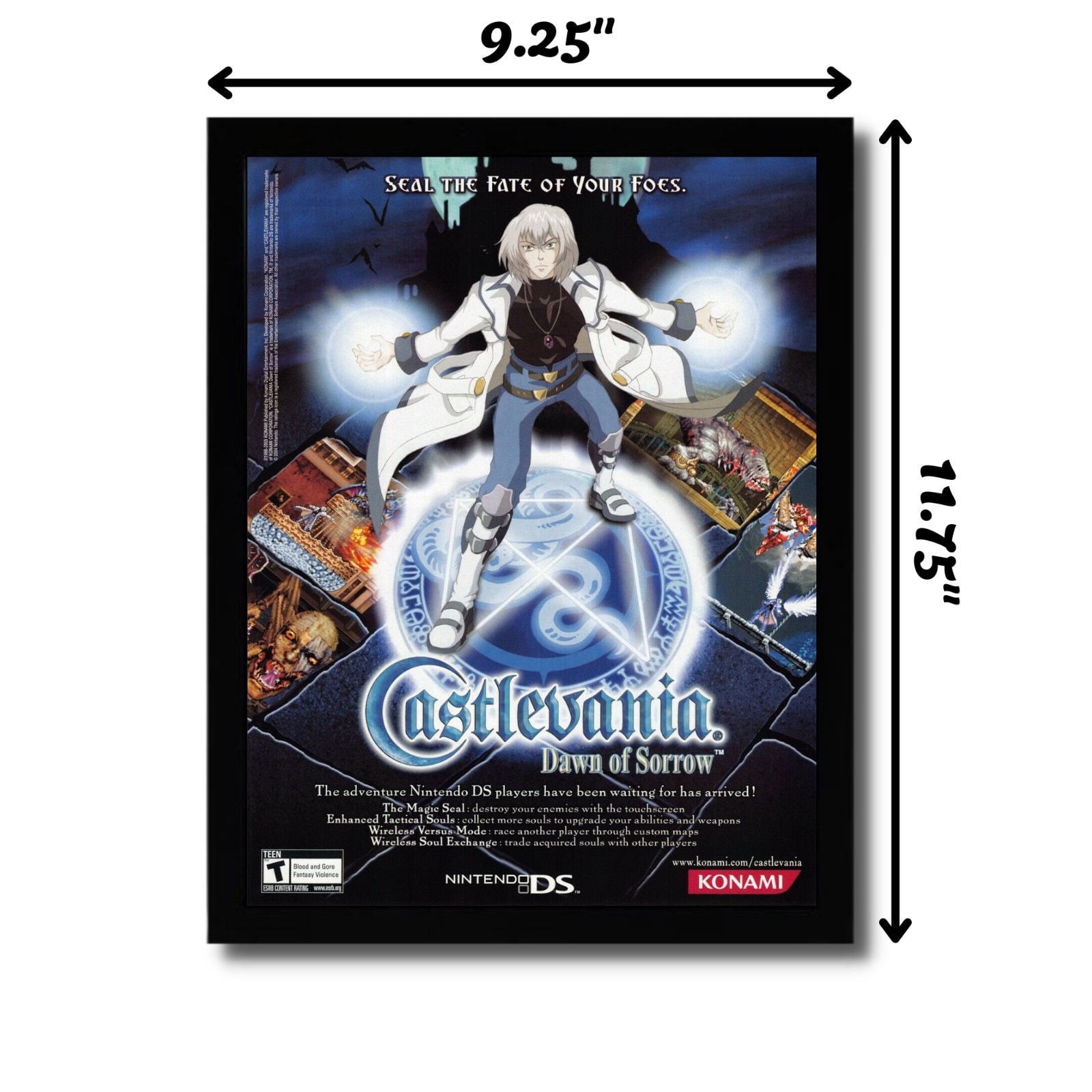 Castlevania:PortraitofRuin【中古美品・完品・DS欧州版 Castlevania:PortraitofRuin【中古美品・完品・DS欧州版
