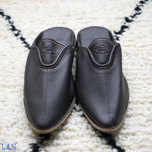 May include: A pair of brown leather slippers with pointed toes. The slippers have a simple design and are made of high-quality leather.