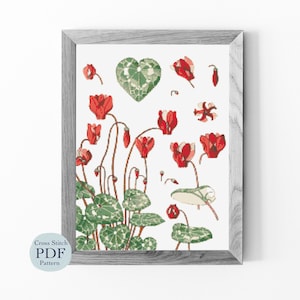 May include: Cross stitch pattern featuring a botanical illustration of red cyclamen flowers with green leaves. The pattern is framed in a gray wood frame.