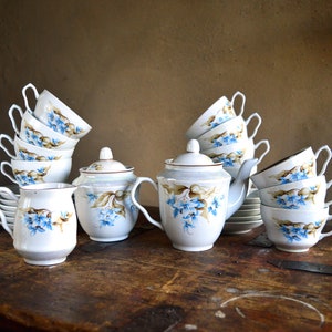 Vintage Floral Ceramic Tea Set: 24 Piece Service for 10