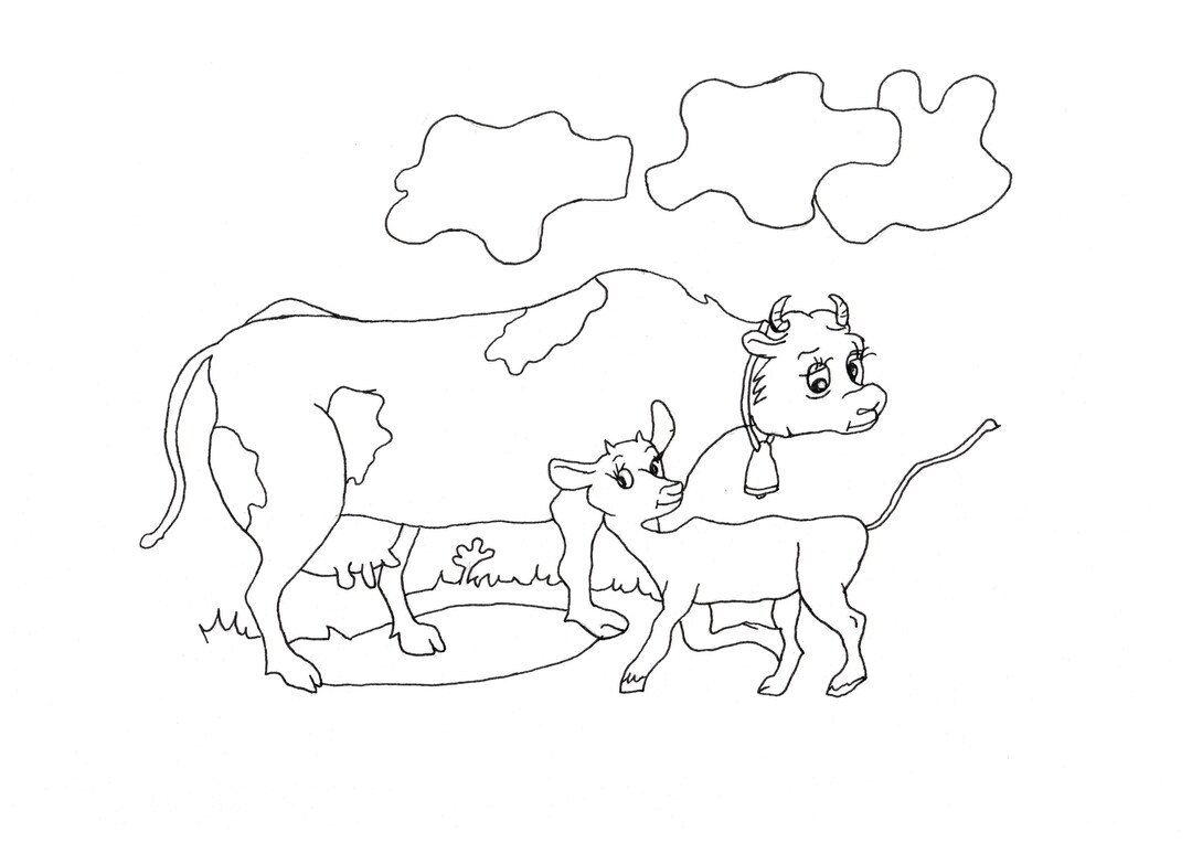 Cow Colouring Page Animal Colouring Page Coloring Cow - Etsy