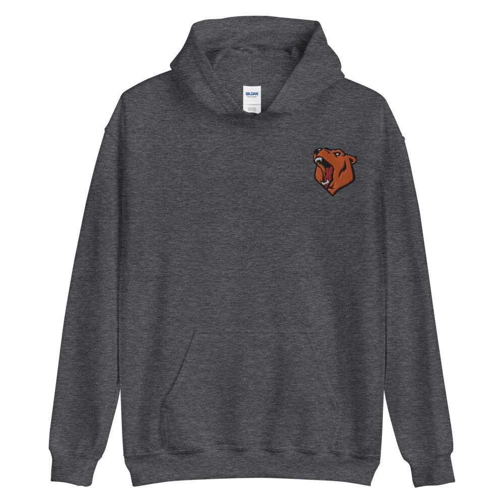 Chicago Bears Redesigned Embroidered Logo Unisex Hoodie Etsy