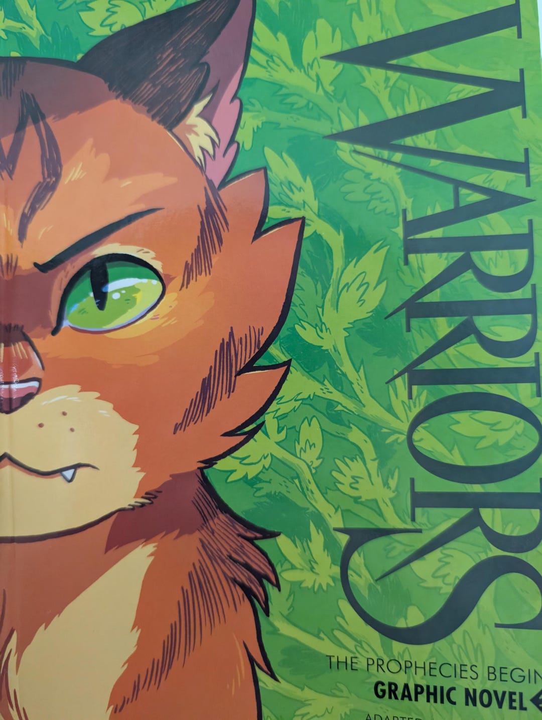 3 in 1 Study Guide, Warrior Cats Graphic Novel: Book 1 the Prophecies ...