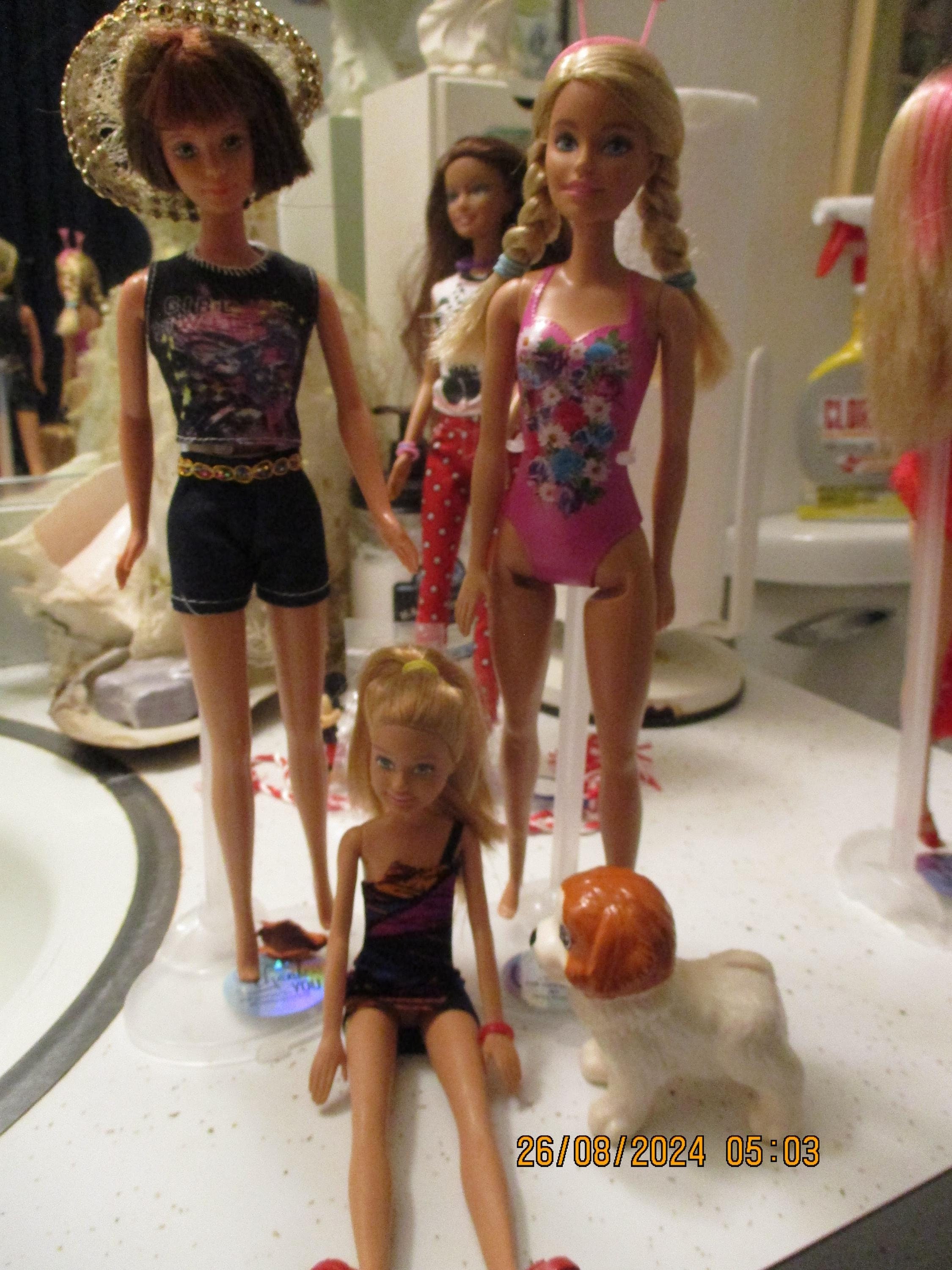 Big sister barbie hotsell