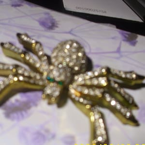 Vintage Broach  Spider Stones all there    Evening Wear