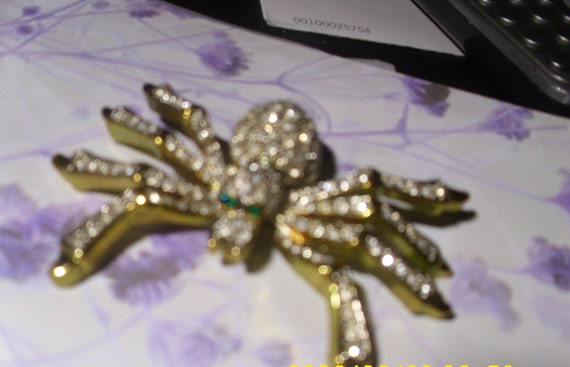 Vintage Broach Spider Stones all there Evening Wear