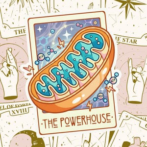 Mitochondria Tarot Card Sticker | The Powerhouse | Biology Science Gift afbeelding 5
