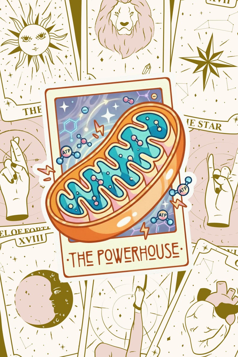 Mitochondria Tarot Card Sticker | The Powerhouse | Biology Science Gift afbeelding 5