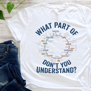 Krebs Cycle Biology Shirt | Funny Science T-Shirt | Biochemistry Teacher Gift | Citric Acid Cycle image 3