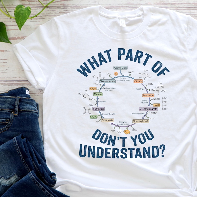 Krebs Cycle Biology Shirt | Funny Science T-Shirt | Biochemistry Teacher Gift | Citric Acid Cycle image 3