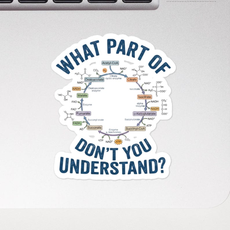 Krebs Cycle Sticker | Funny Biology Vinyl Decal | Science Teacher Gift | Biochemistry Laptop Sticker image 2