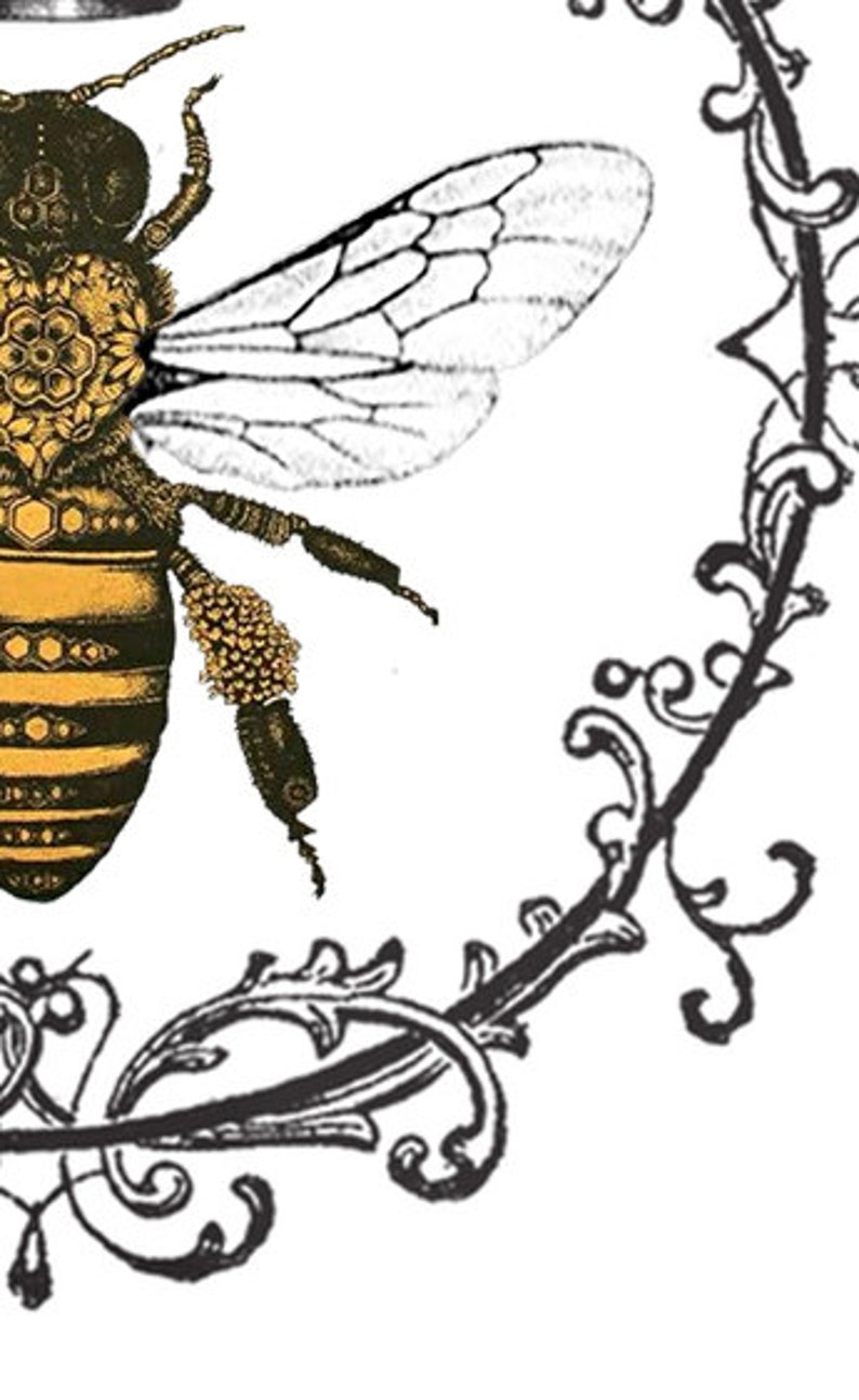 Printable Shabby Chic French Image Transfer Vintage Bee Etsy