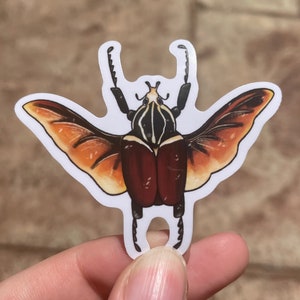 Goliath Beetle Stickers