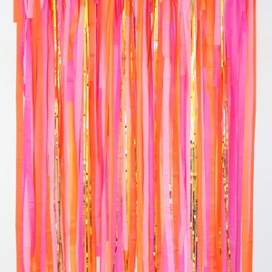 Streamer Backdrop, Fringe Backdrop, Color Birthday Party Decorations, Photo  Backdrop, Fiesta, Bachelorette Party, Pink and Orange -  Canada