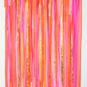 Streamer Backdrop, Fringe Backdrop, Color Birthday Party Decorations, Photo Backdrop, Fiesta, Bachelorette Party, Pink and Orange