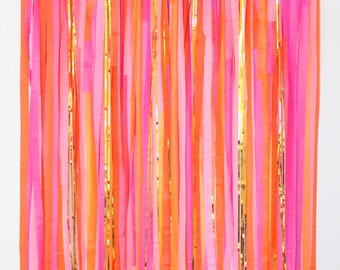 Streamer Backdrop, Fringe Backdrop, Color Birthday Party Decorations, Photo Backdrop, Fiesta, Bachelorette Party, Pink and Orange