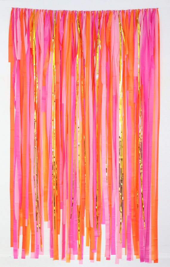 Streamer Backdrop, Fringe Backdrop, Color Birthday Party Decorations, Photo  Backdrop, Fiesta, Bachelorette Party, Pink and Orange -  Canada