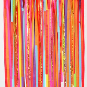 Fiesta Backdrop, Fiesta Decorations, Streamer Backdrop, Fringe Backdrop, Fiesta Party Decorations, Fiesta Bachelorette, Cinco de Mayo, Final image 3