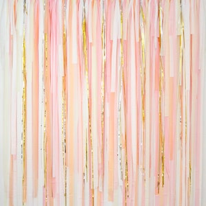 Streamer Backdrop, Fringe Backdrop, Photo Booth, Birthday Decorations, Bachelorette Party, Festival Boho Pink Peach White Gold, Retro Groovy