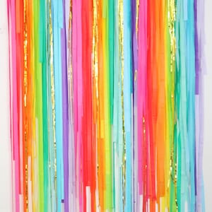 Streamer Backdrop, Fringe Backdrop, Rainbow Backdrop, Rainbow