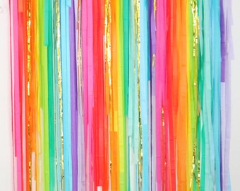 Streamer Backdrop, Fringe Backdrop, Rainbow Backdrop, Rainbow Party Decorations, Rainbow Decorations, Photo Booth, My Little Pony Birthday