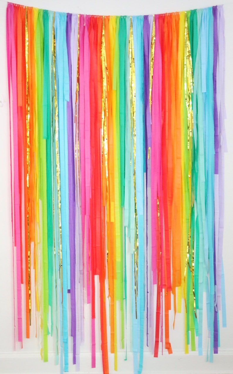 Streamer Backdrop Fringe Backdrop Rainbow Backdrop Rainbow Party Decorations Rainbow Decorations Photo Booth My Little Pony