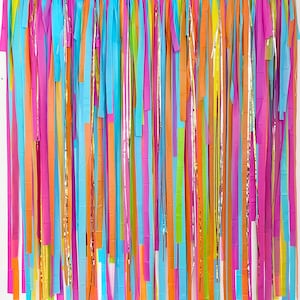 Colorful Backdrop, Photo Backdrop, Streamer Fringe Backdrop, Bachelorette Party, Birthday Backdrop, Rainbow Decorations, Groovy, Neon, Disco