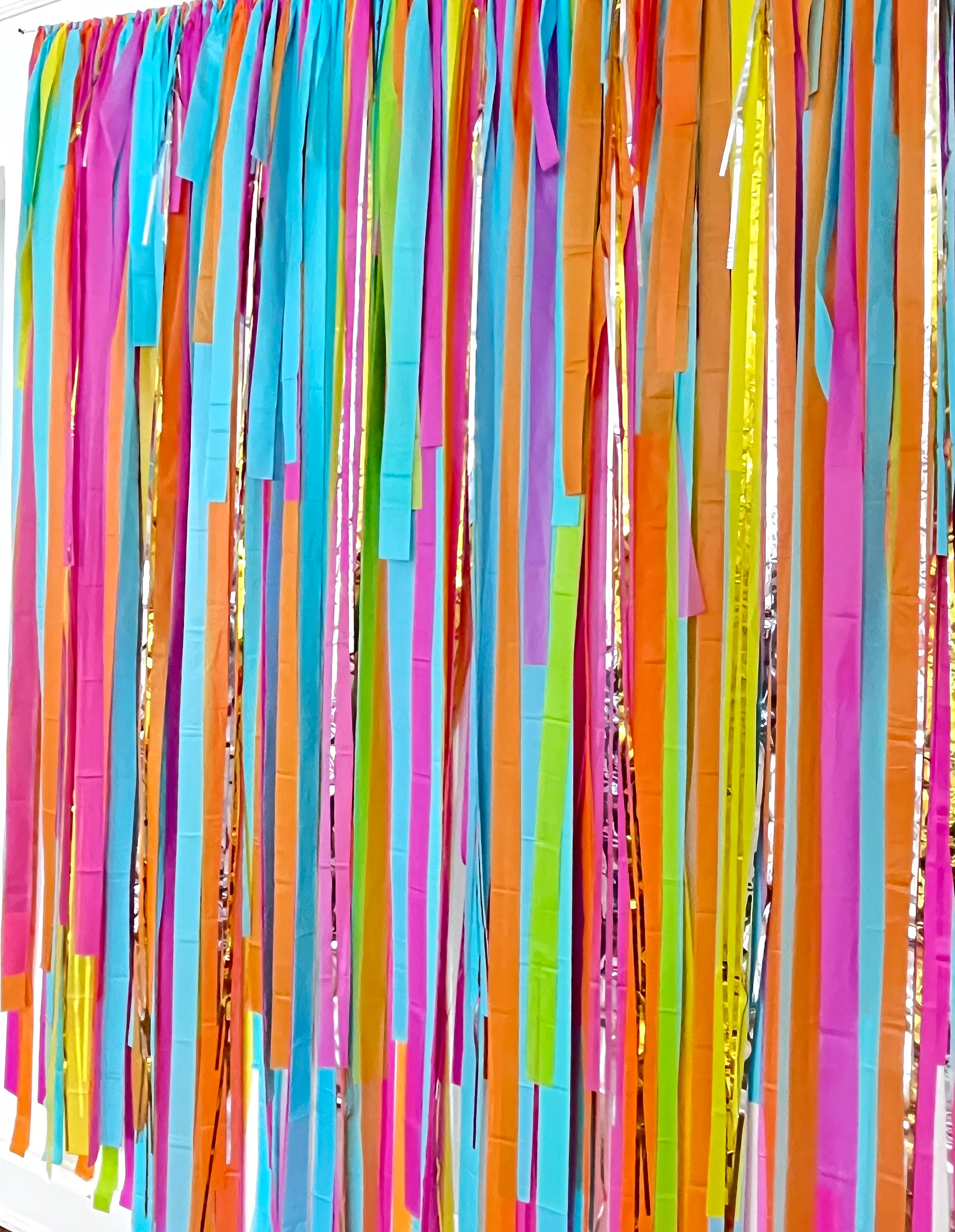 Colorful Backdrop, Photo Backdrop, Streamer Fringe Backdrop ...