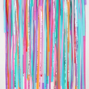 Streamer Backdrop, Fringe Backdrop, Rainbow Party, Fiesta Decor, Party Animals, Birthday Party, Bachelorette, Cinco De Mayo