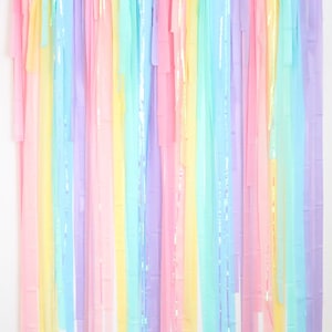 Streamer Backdrop, Fringe Backdrop, Pastel Party Decor, Pastel Rainbow Decoration, Ice Cream Party, Unicorn Party Decorations, Sprinkle