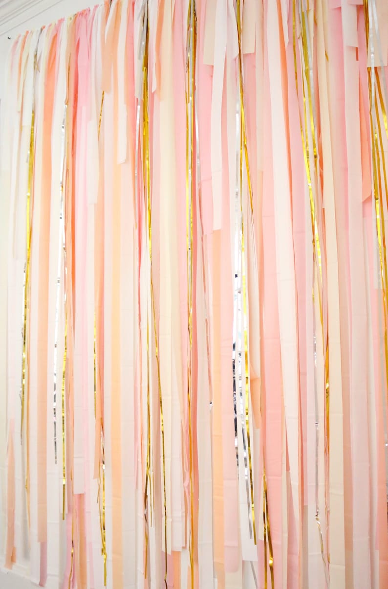 Streamer Backdrop Fringe Backdrop Photo Booth Birthday Etsy