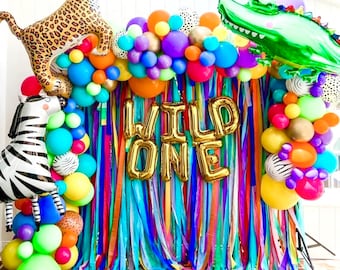 Streamer Backdrop, Fringe Backdrop, Animal Safari Party, Party Animal, Wild One Birthday Party Backdrop, Rainbow Birthday Backdrop, Encanto