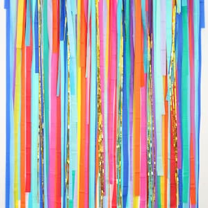 Streamer Backdrop, Fringe Backdrop, Rainbow Party Decorations, Rainbow Backdrop, Rainbow Birthday, Party Animal, Photo Booth, Dessert Table