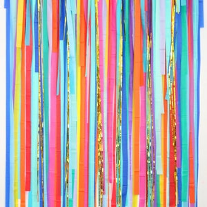 Streamer Backdrop, Fringe Backdrop, Rainbow Backdrop, Rainbow Party Decorations, Candy Party, Candyland, Candy Land, Party Animal, Pride