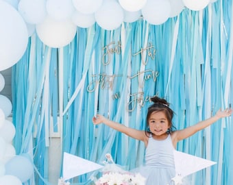 Streamer Backdrop, Fringe Backdrop, Birthday Party Decorations, Ice Princess Backdrop,  Streamers, Winter Wonderland Party