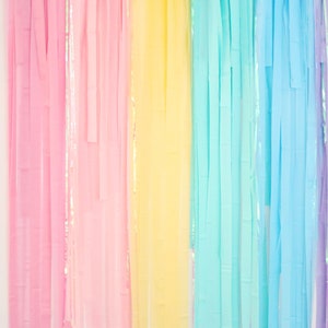 Pastel Rainbow Party, Pastel Rainbow, verjaardagsfeestje, Rainbow Party Decor, Streamer achtergrond, Fringe achtergrond, foto achtergrond, baby shower