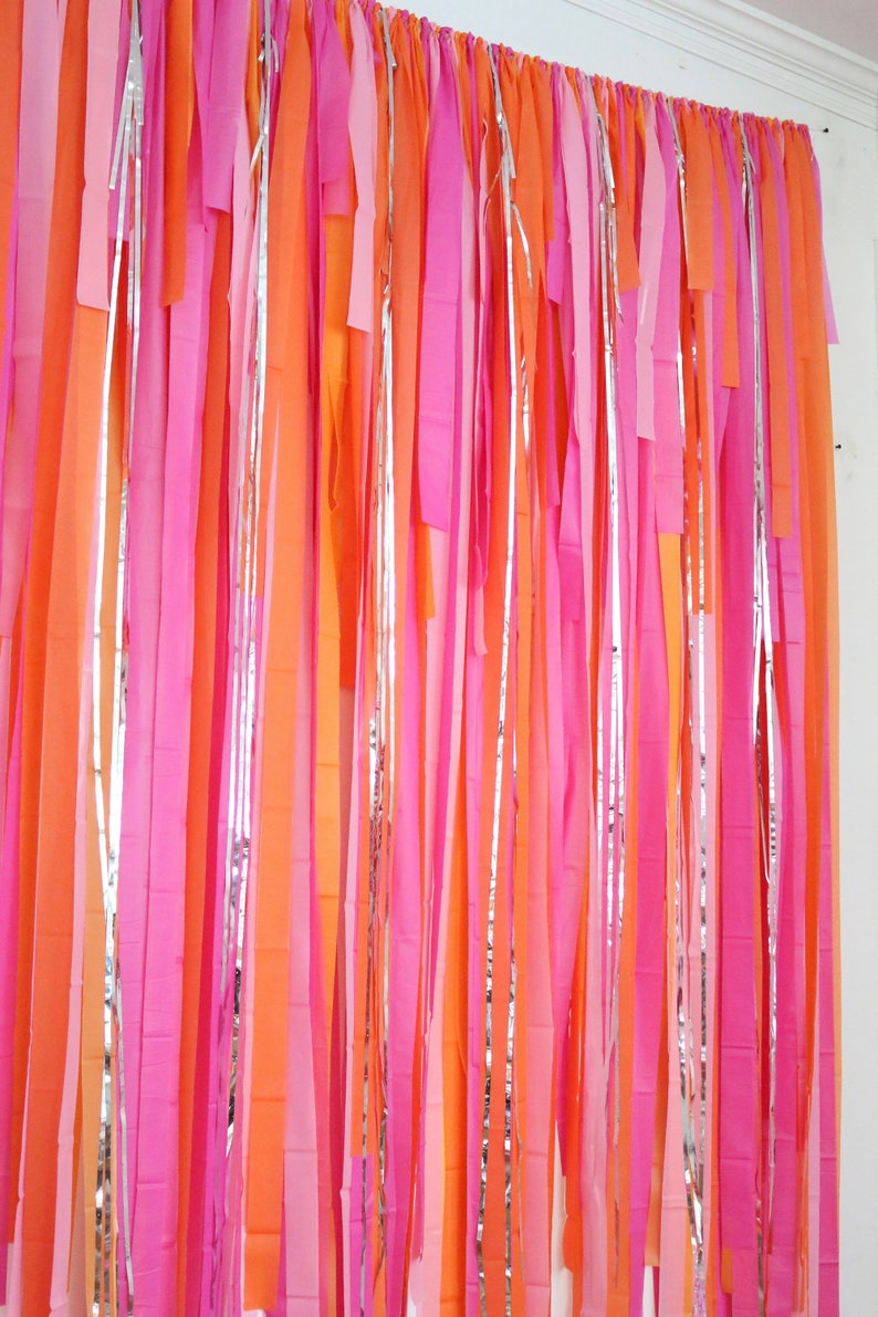 Streamer Backdrop Fringe Backdrop Birthday Party Etsy