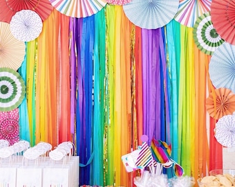Streamer Backdrop, Fringe Backdrop, Rainbow Party Decorations
