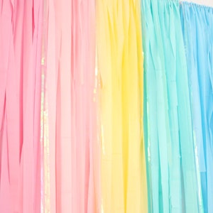 May include: A rainbow backdrop made of tissue paper streamers. The streamers are in shades of pink, yellow, blue, and purple.