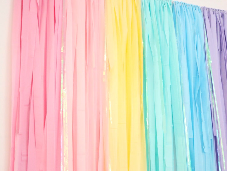 May include: A rainbow backdrop made of tissue paper streamers. The streamers are in shades of pink, yellow, blue, and purple.