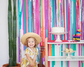 Fiesta Backdrop, Fiesta Decorations, Streamer Backdrop, Fringe Backdrop, Rainbow Fiesta, First Fiesta, Photo Booth, Cinco de Mayo, Encanto
