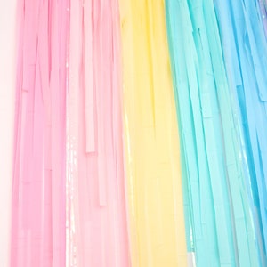 May include: A rainbow-colored streamer backdrop with pink, yellow, light blue, and purple strips of tissue paper.