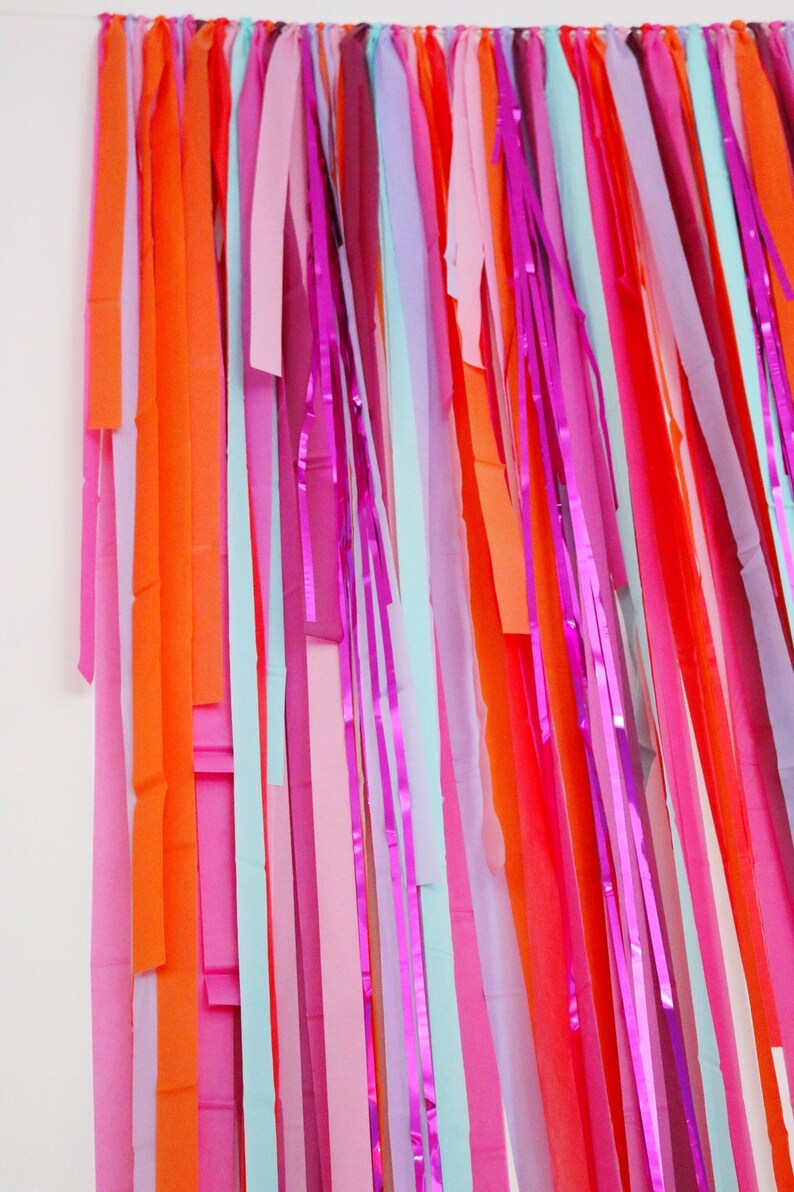 Streamer Backdrop Fringe Backdrop Fringe Photo Backdrop Etsy