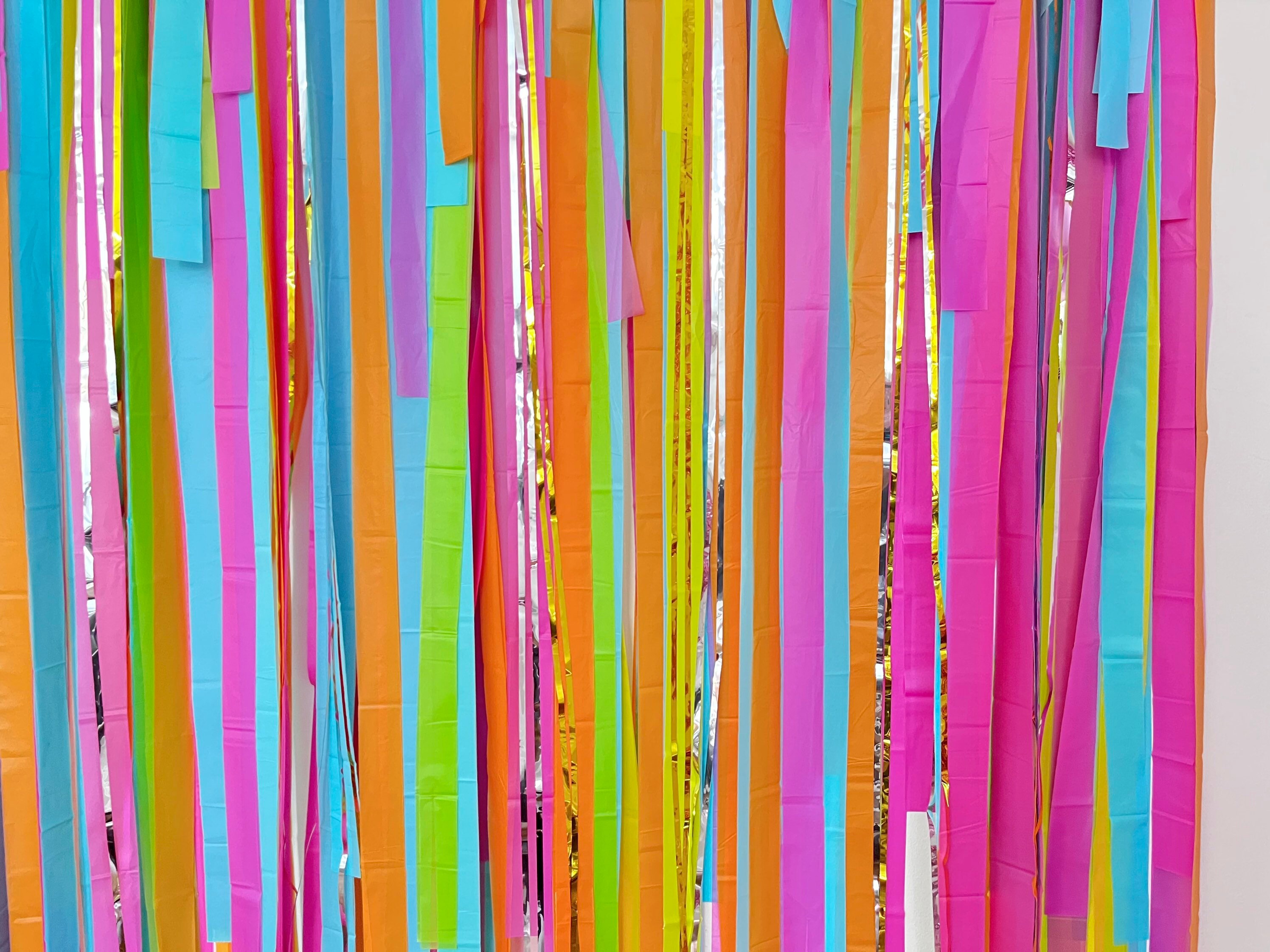 Colorful Backdrop, Photo Backdrop, Streamer Fringe Backdrop ...