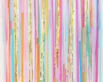 Colorful Backdrop, Streamer Backdrop, Fringe Backdrop, Wedding Backdrop, Photo Booth, Birthday Party Decorations, Bachelorette Party