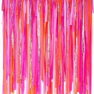 Streamer Backdrop, Fringe Backdrop, Birthday Party Decorations, Photo Backdrop, Fiesta, Bachelorette Party, Pink and Orange, Disco