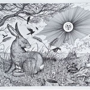 Illustrazione di lepre