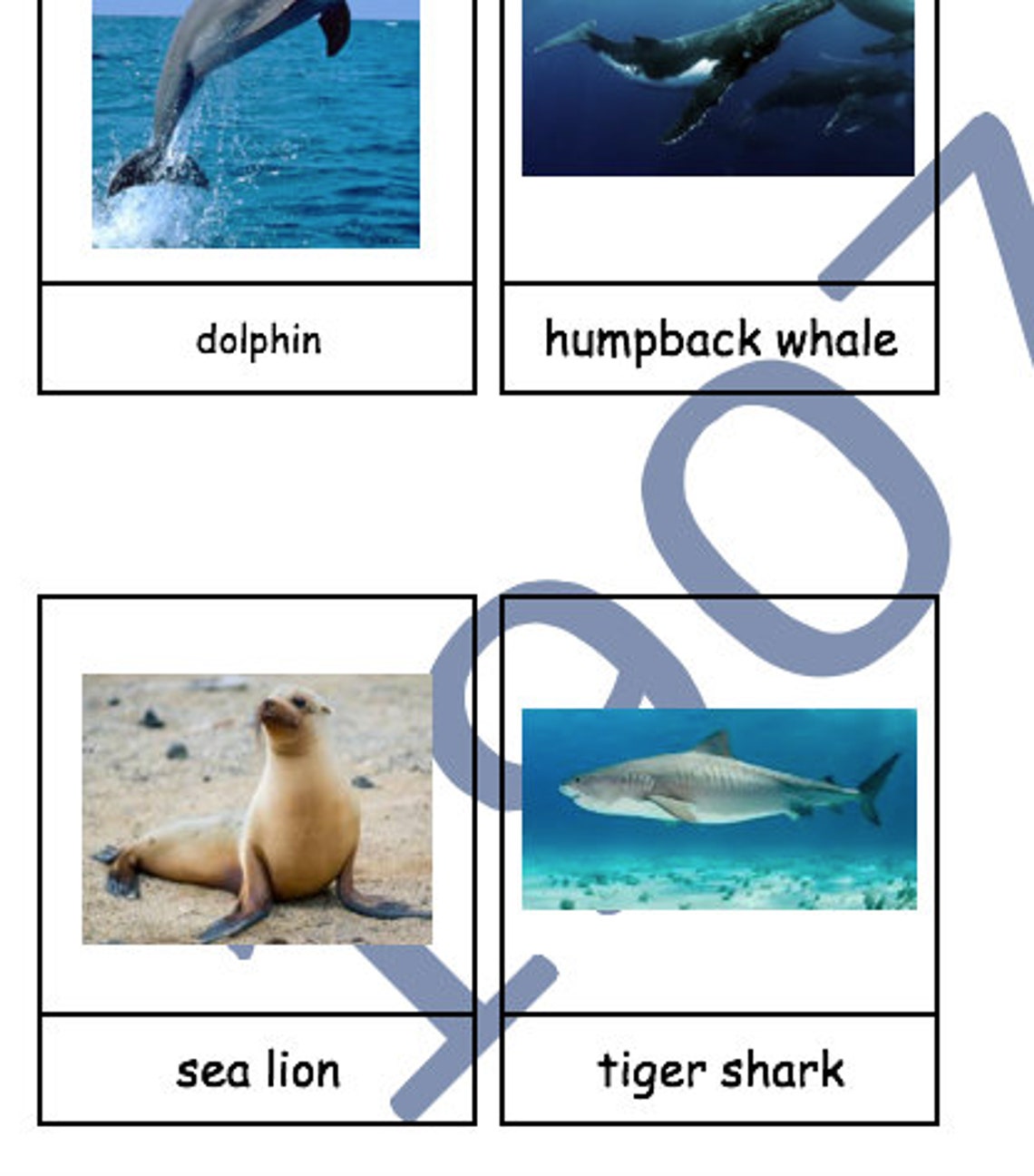 Ocean Animals Picture Cards PDF - Etsy Ireland