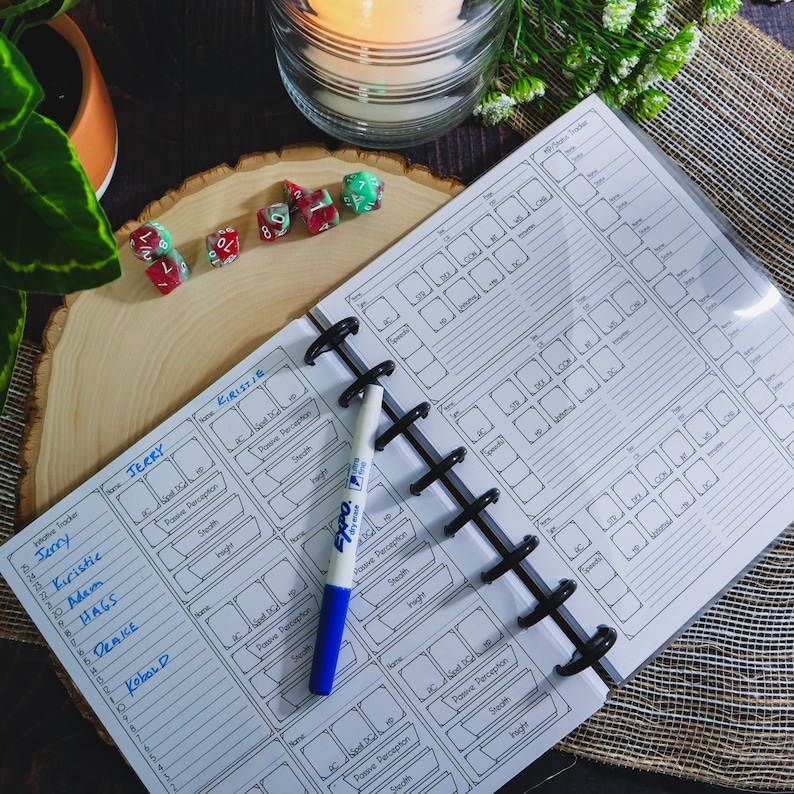 Dungeon Master's Guide to Adventure: Campaign Diary