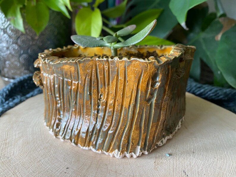 Moss Ceramic Planter